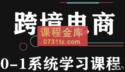 朱哥·玩赚跨境电商之0基础课程