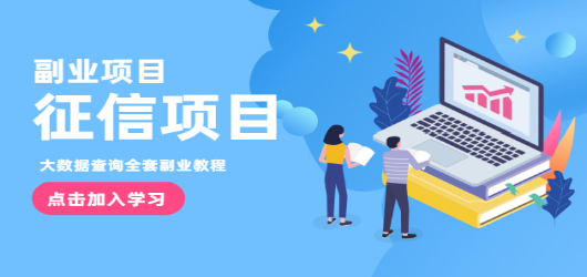 征信副业：搬砖操作大数据查询信用项目赚钱教程(无水印)
