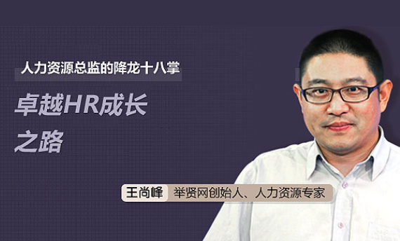 人力资源总监的降龙十八掌：卓越HR成长之路
