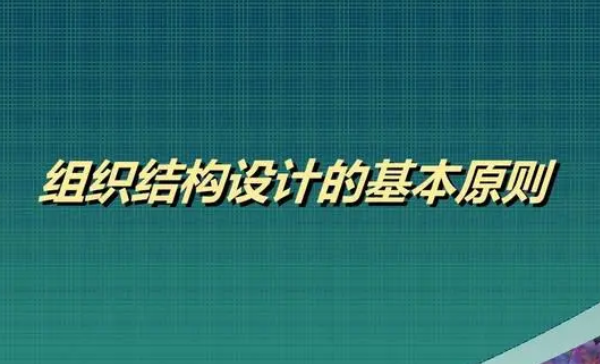 设计组织结构的基本原则