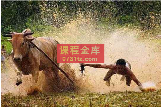 股哥训练营·只会炒股（20-23期），价值4999元