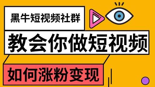 陈大黑牛·教会你做短视频涨粉变现，价值800元