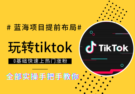 八方凡骐·tiktok系统课，实操手把手教你，价值2999元