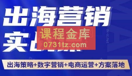 Annie·出海营销实战课（品牌策略数字营销策划方案FacebookGoogle）