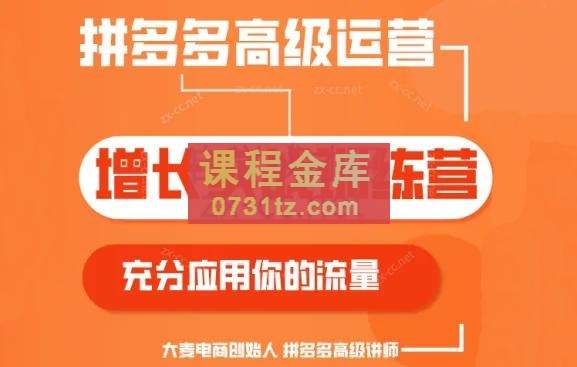 大麦老师·拼多多单品爆款打造课程（更新6月）