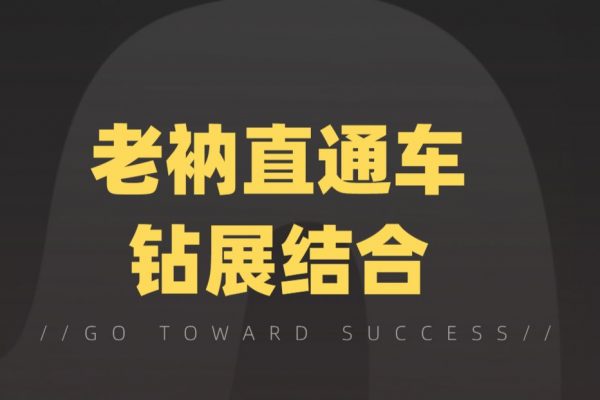老衲直通车钻展结合,淘宝店铺运营推广课程
