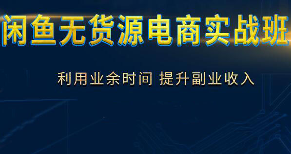 诺思星·2021闲鱼无货源电商实战班