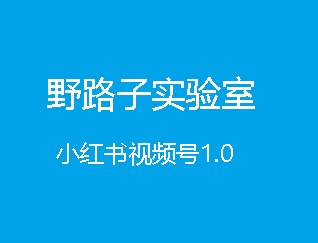 野路子实验室：小红书视频号1.0(无水印)