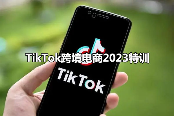 TikTok跨境电商2023特训：抢占跨境电商新高地