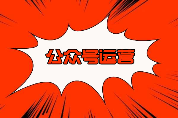 零基础小白也能上手公众号运营价值199元
