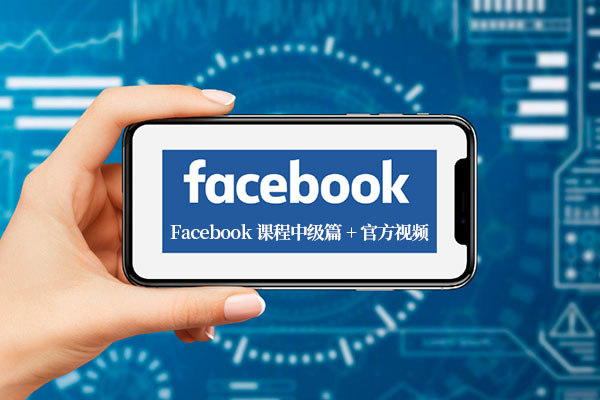 跨境电商之玩转Dropshipping之Facebook课程高级篇+官方视频教程