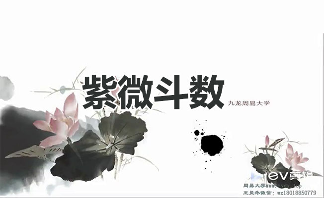 九龙道长王员外斗数紫微斗数课程