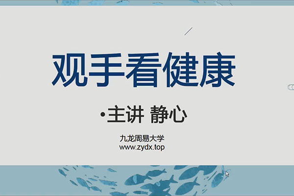 九龙道长弟子班内容静心老师手相课程_1