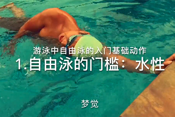 成人学游泳之自油泳教学视频