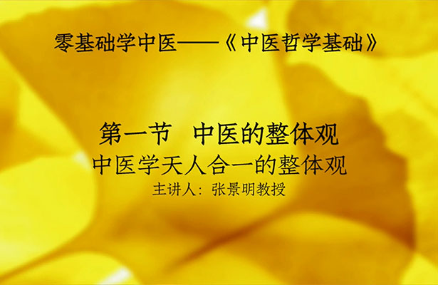 张景明《零基础学中医》82课视频+课件