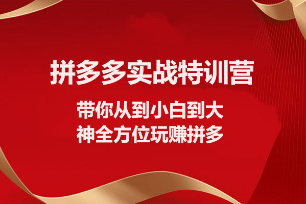 拼多多实战特训营：带你从到小白到大神全方位玩赚拼多多