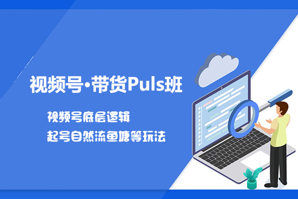 视频号·带货Puls班：视频号底层逻辑，起号自然流鱼塘等玩法