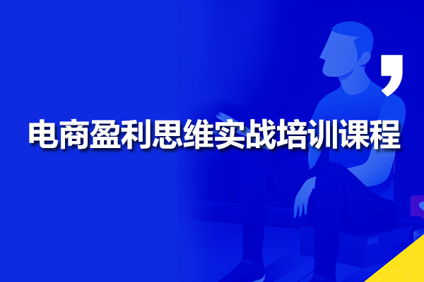 电商盈利思维实战培训课程：打造成功电商老板必备技能