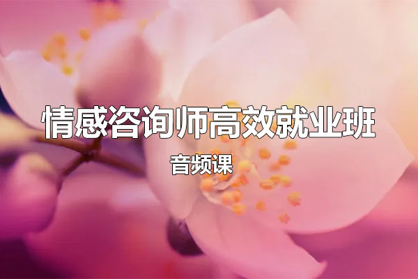 情感咨询师高效就业班18节音频课