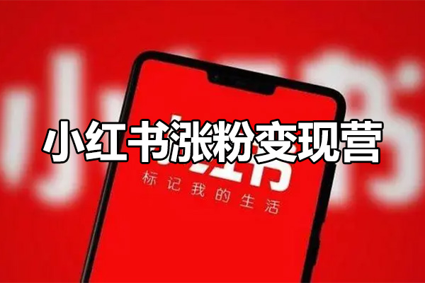 27天小红书涨粉变现营第6期：全面掌握底层逻辑，手把手教你打造爆款笔记