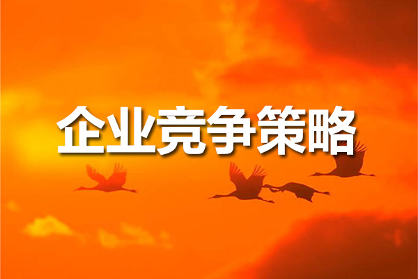 关苏哲企业竞争策略：差异化战略与市场创新