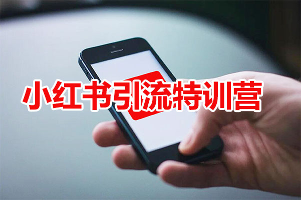 小红书引流特训营：零基础玩转小红书直达百万流量大咖