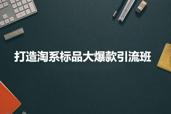 打造淘系标品大爆款引流班：轻松玩转爆款打法