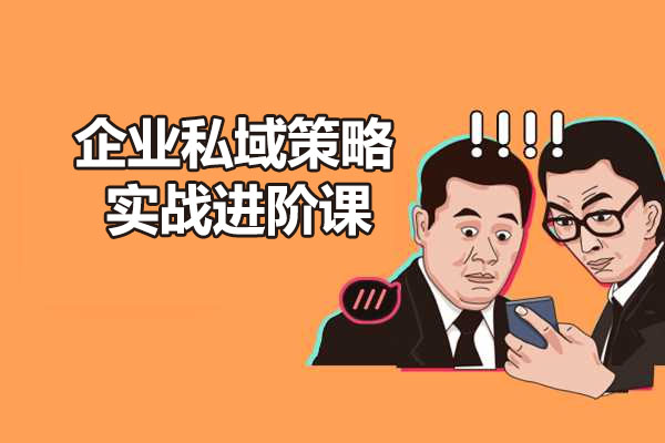 企业私域策略实战进阶课：培养能拿结果的私域操盘手