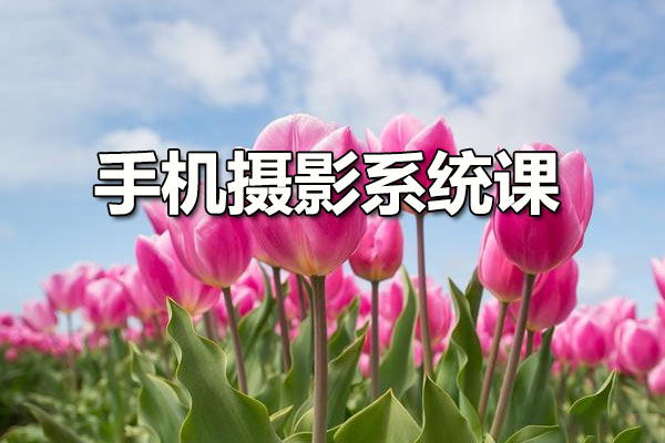 手机摄影系统课：0基础让你的手机拍照更有灵魂
