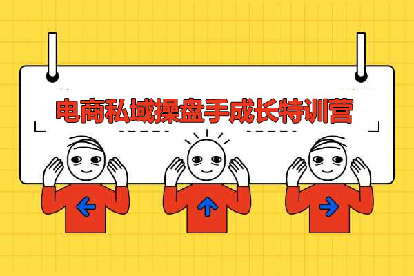 电商私域操盘手成长特训营：从小白到操盘高手全程实战分享