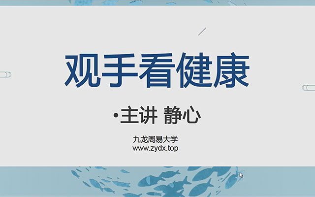 九龙道长弟子班内容静心老师手相课程