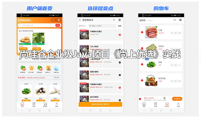尚硅谷企业级Java项目《尚上优选》实战（视频+代码+资料）