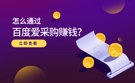 大王·怎么通过百度爱采购赚钱，价值599元