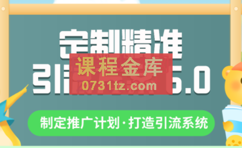 制定精准引流方案专栏6.0，价值1380元