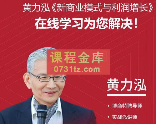 黄力泓·新商业模式与利润增长