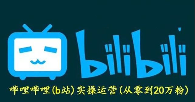 义乌之狼：哔哩实操运营项目,百度网盘免费下载