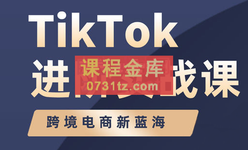 大山老师·TikTok进阶实战课
