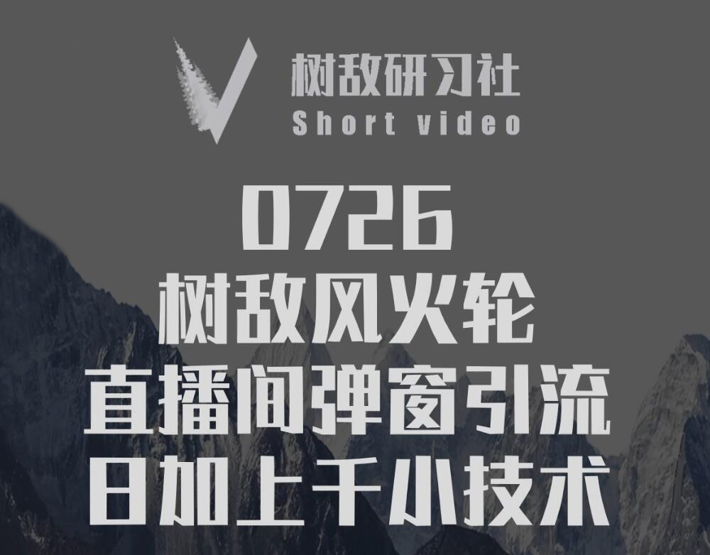 树敌研习社：0726树敌零粉电脑伴侣直播(无水印)