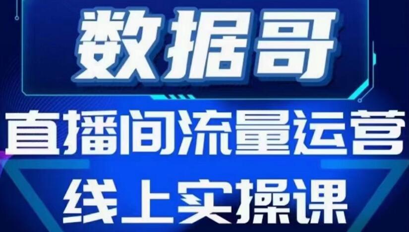 数据哥流量运营线上实操课,价值398元